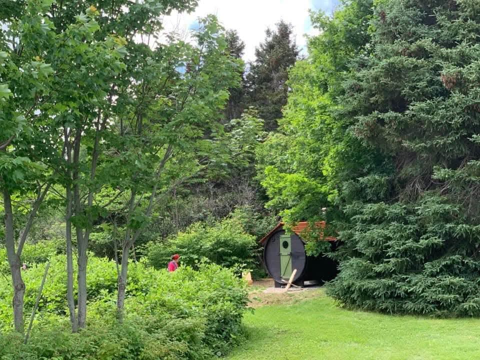 Sauna baril intégré dans la forêt