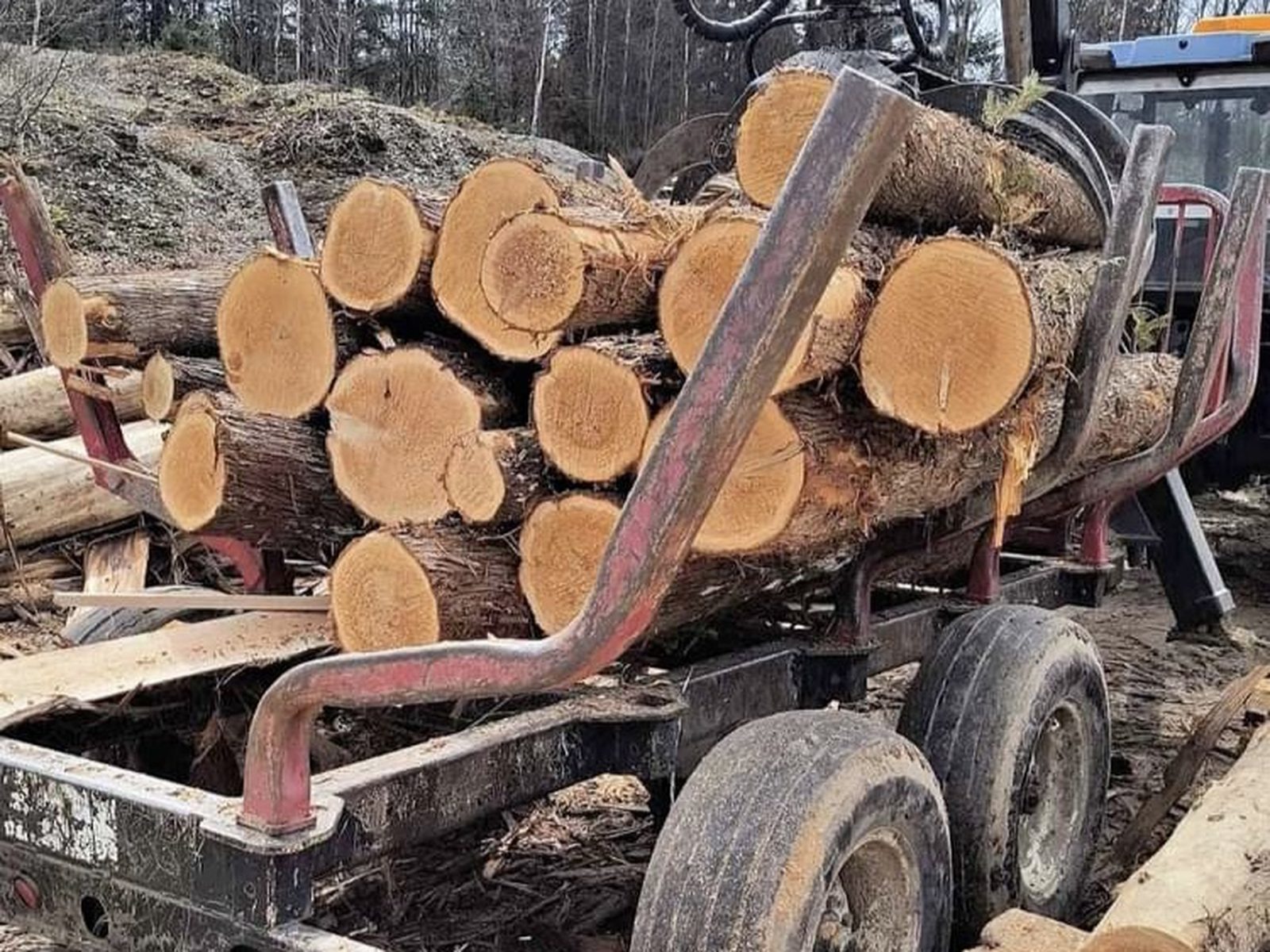 Billots de cèdre blanc du Québec chargés sur une remorque forestière — Petit Moulin du 4 Milles, La Patrie, Estrie