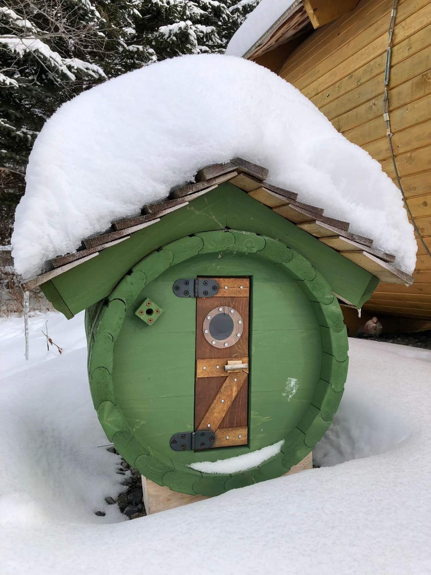 Porte de sauna vert sous la neige