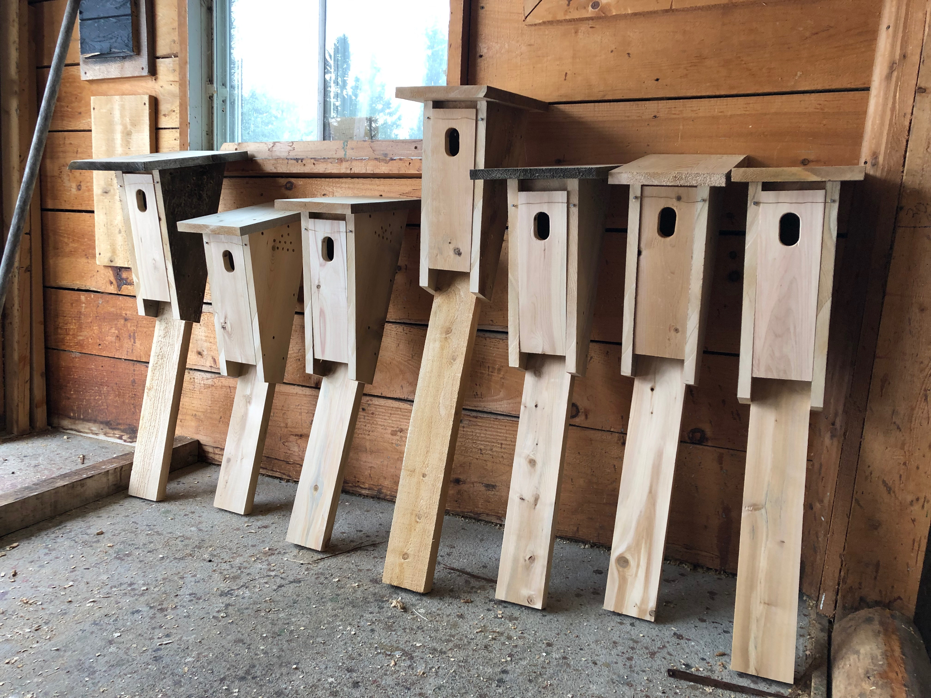 Collection de nichoirs à oiseaux en cèdre blanc du Québec